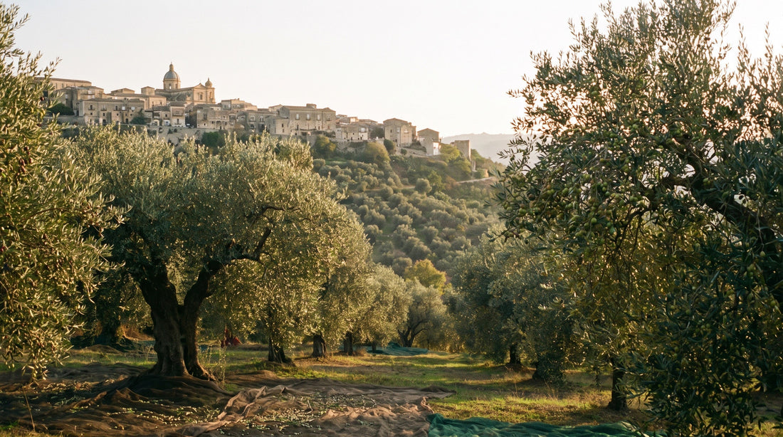 Sicily's Olive Harvest Festivals Worth Planning a Trip Around