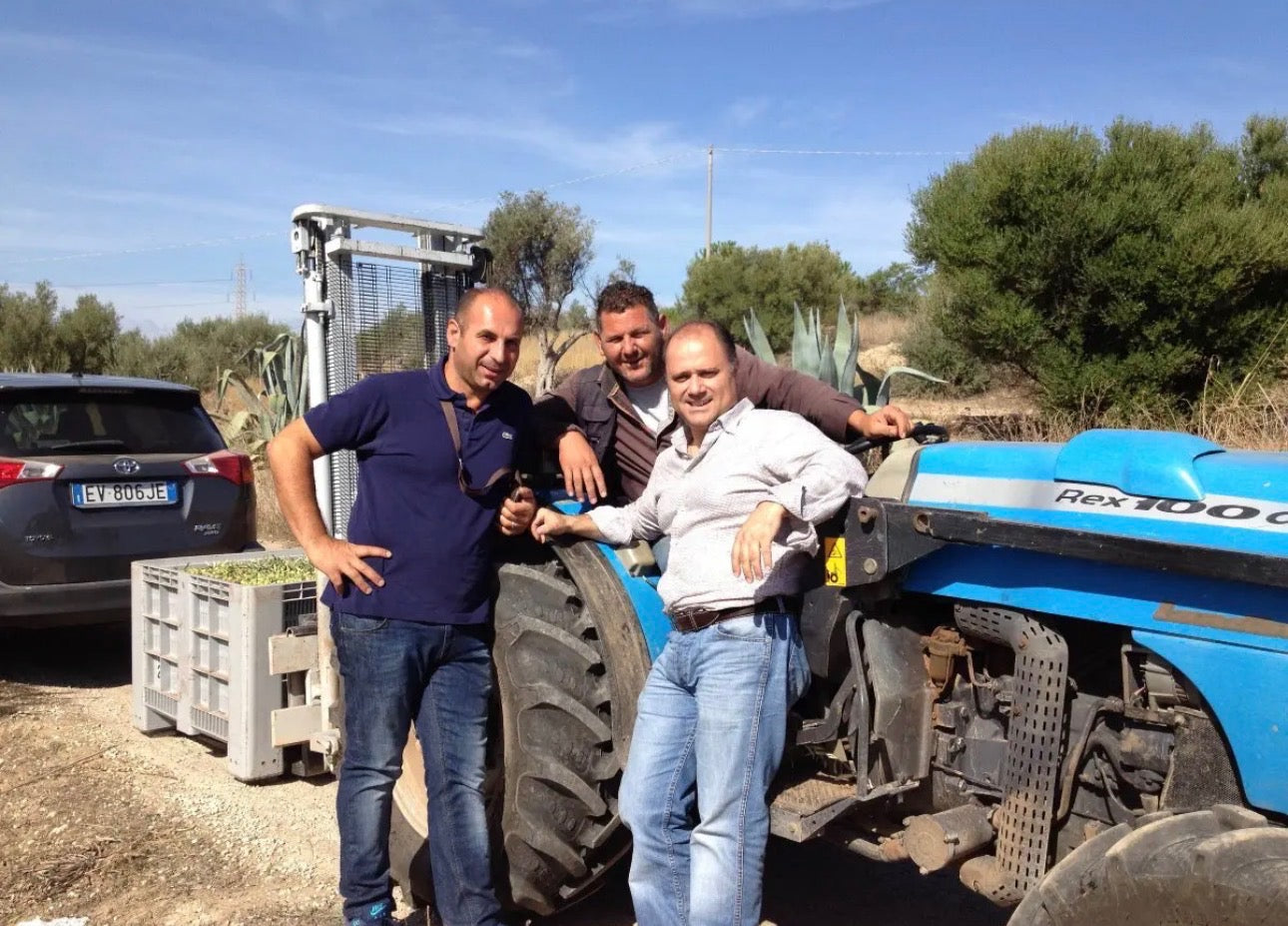 Olive oil producers standing beside a tractor with harvested olive crates in Sicily