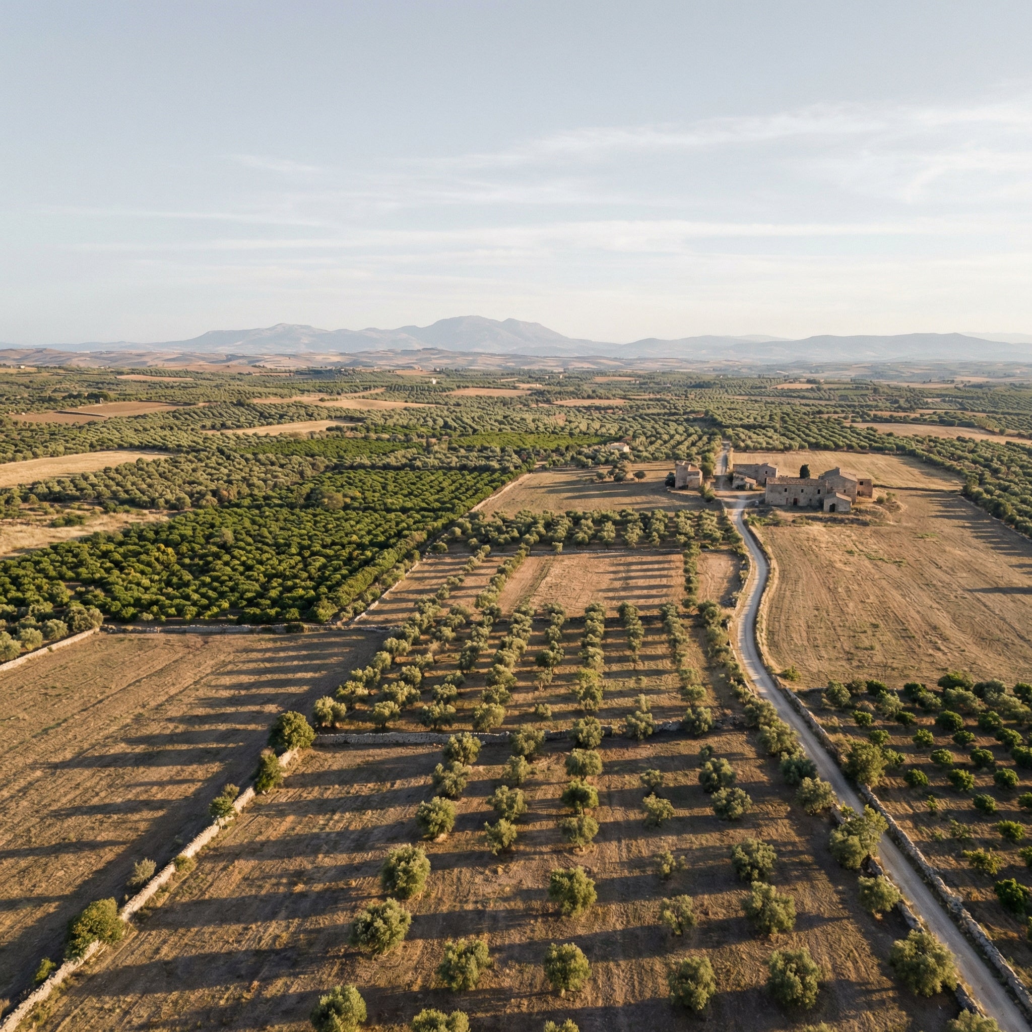 Aerial view of a rural landscape with fields and a road leading to a building.